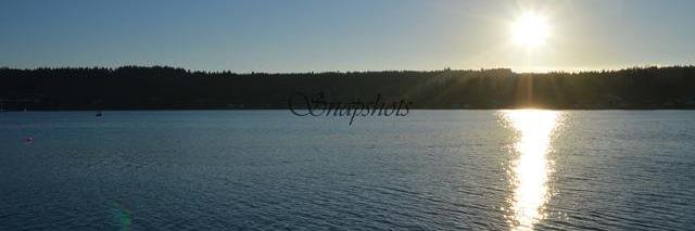 Brenda68317982's profile banner image