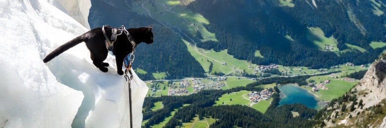 BenjaminwarnerT's profile banner image