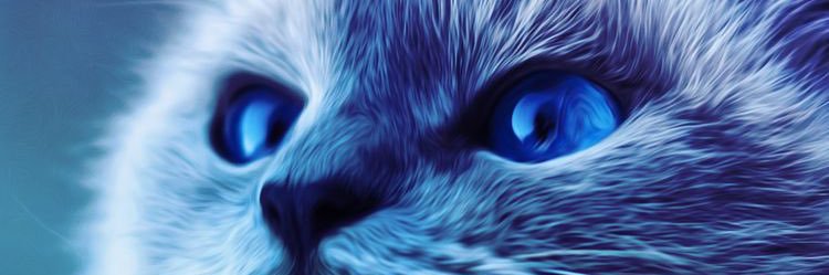 henrimends's profile banner image
