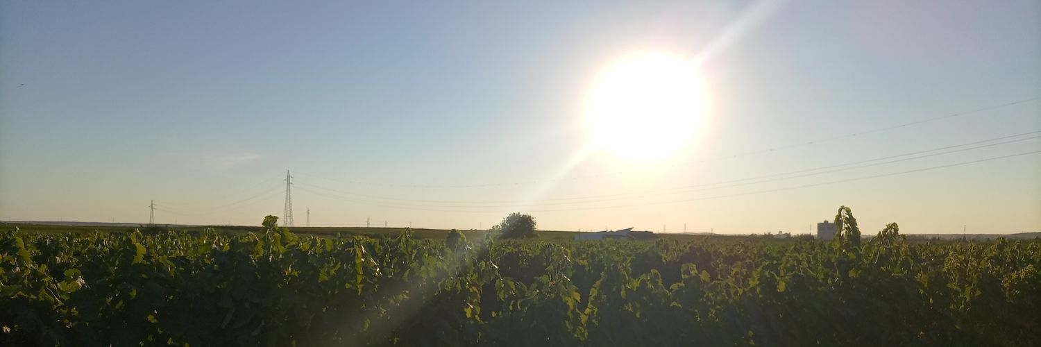 .Rosa. banner