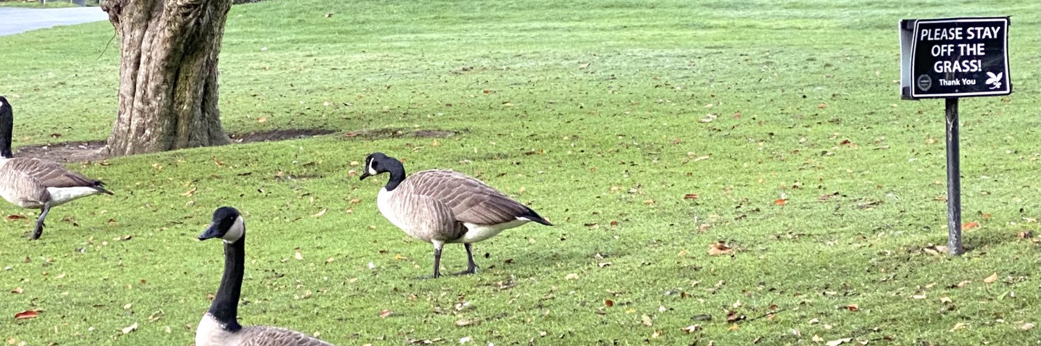 Realtor Rick 💙 banner