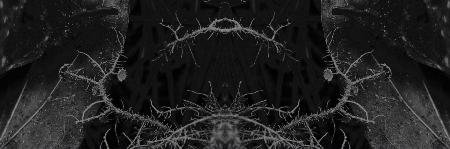 just_anthr's profile banner image