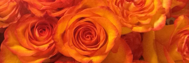 kyleecampbell's profile banner image
