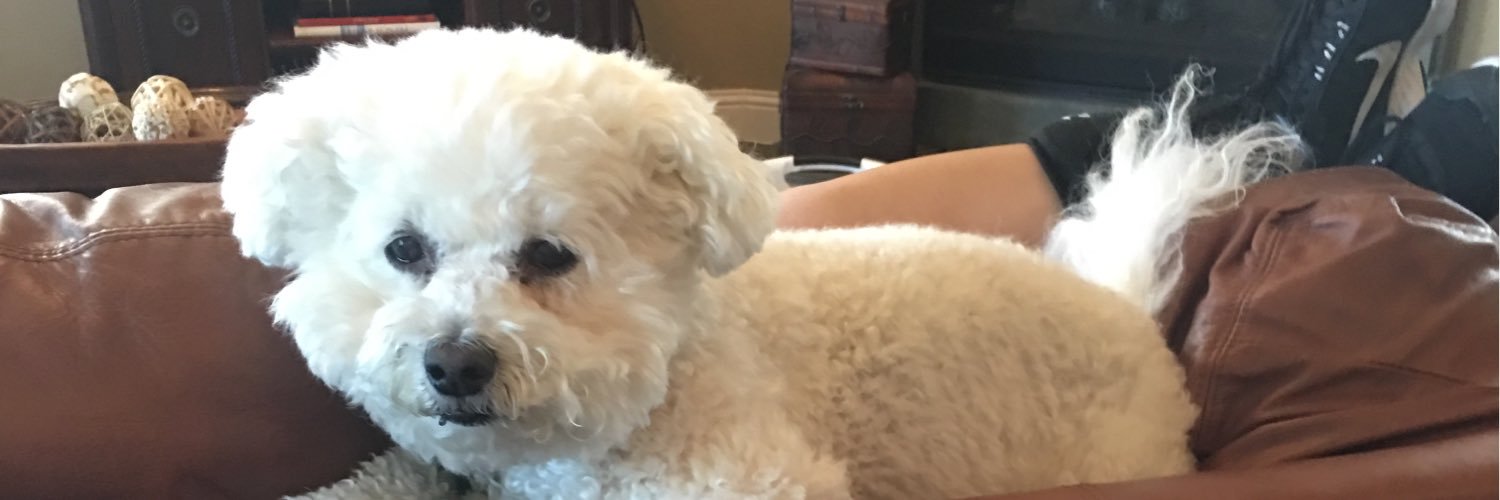 TitoneKim's profile banner image