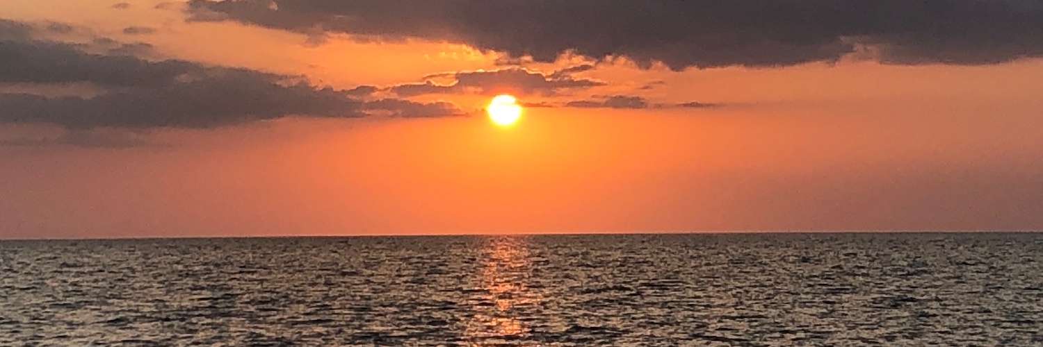 Alex Greenwald banner