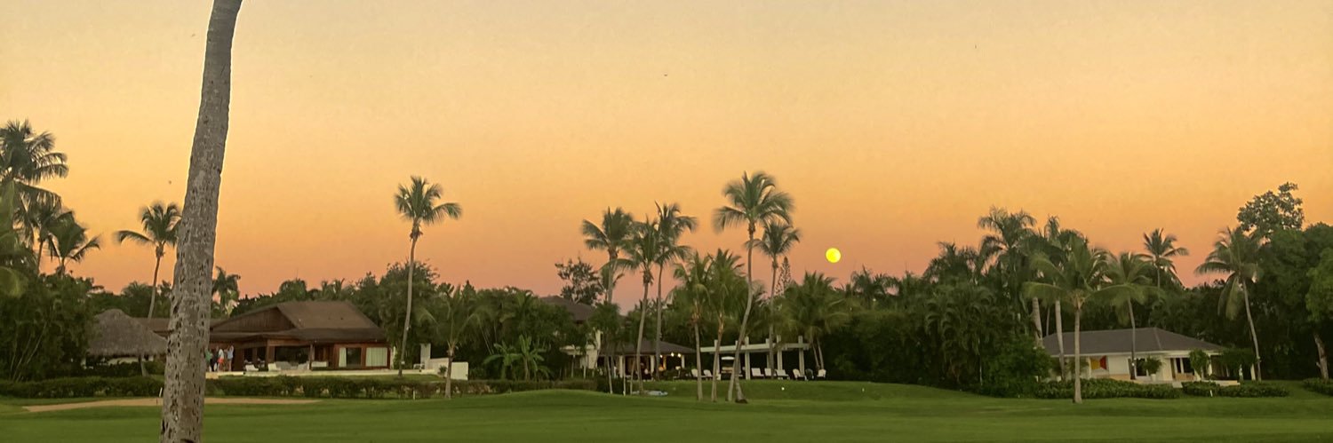 mariibrito_'s profile banner image