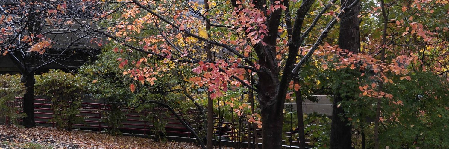 docmcengiz's profile banner image