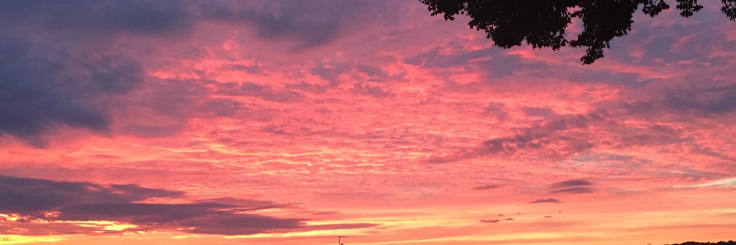 taylor__dempsey's profile banner image