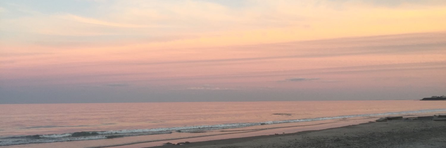 TracyPelrine's profile banner image