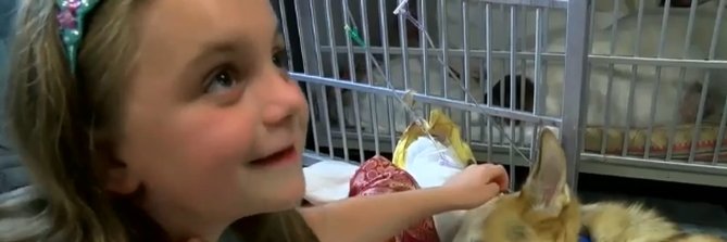 TakReview's profile banner image