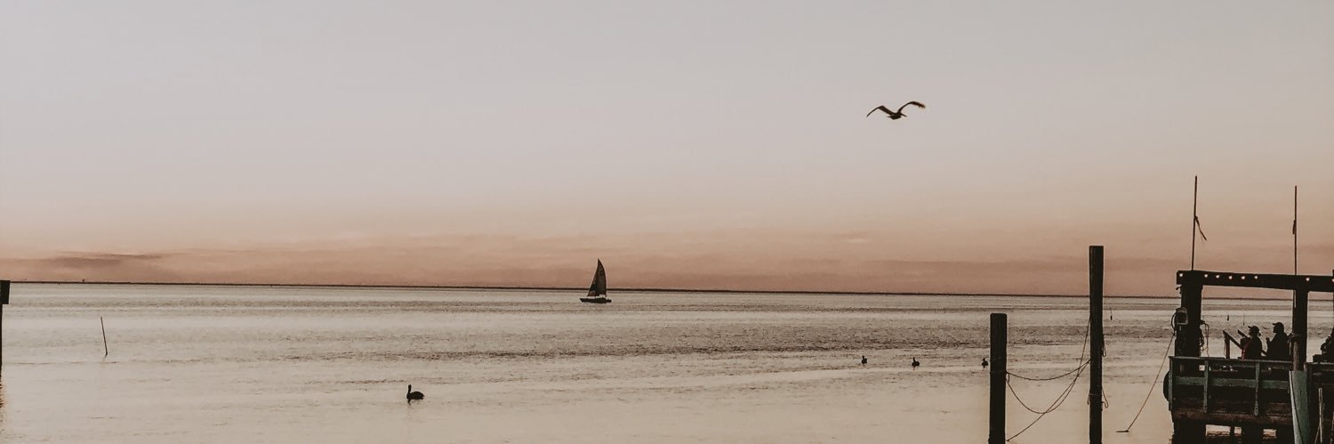 johnnyamtz11's profile banner image