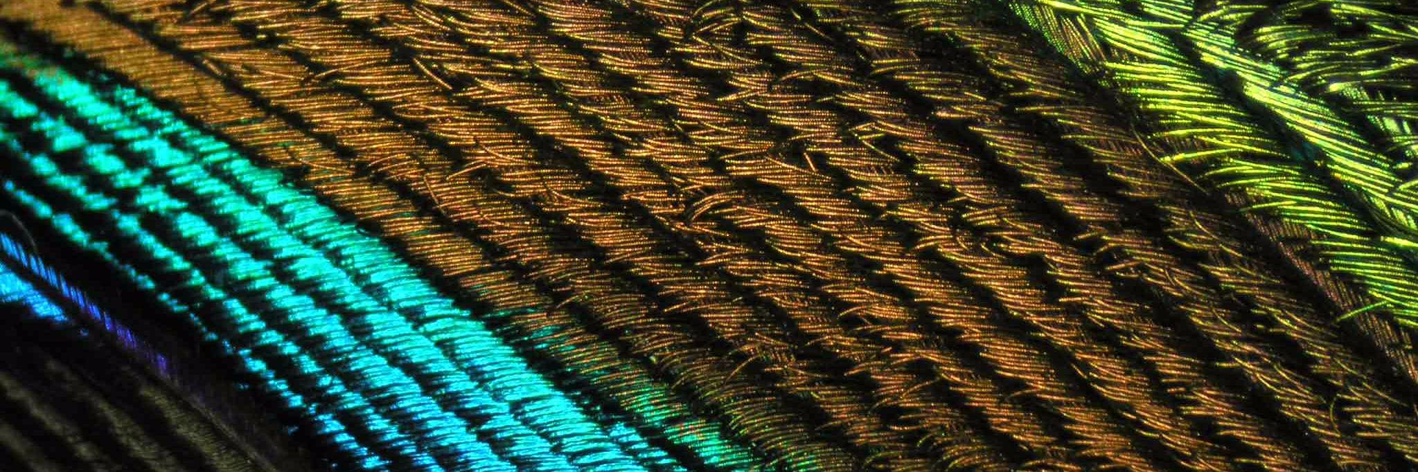 bwstauffer's profile banner image