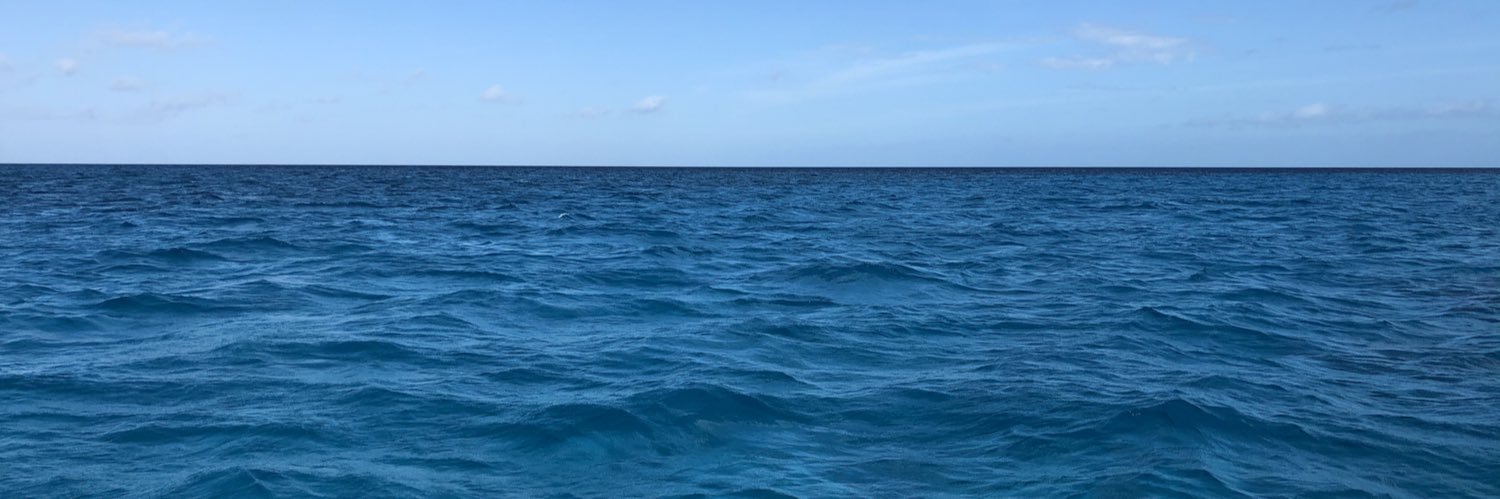 Alliekittell's profile banner image