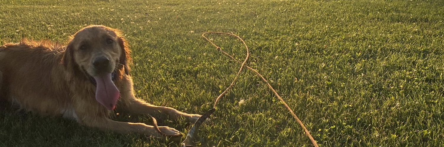 Merchant of Depth banner