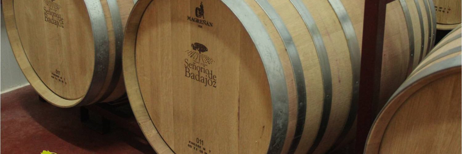 SrdeBadajoz's profile banner image