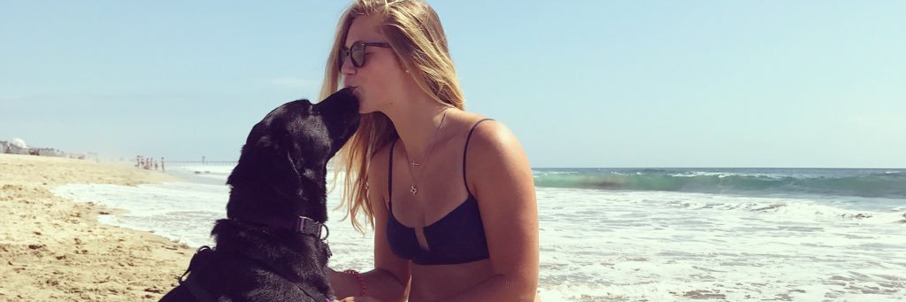 PaigePanter3's profile banner image