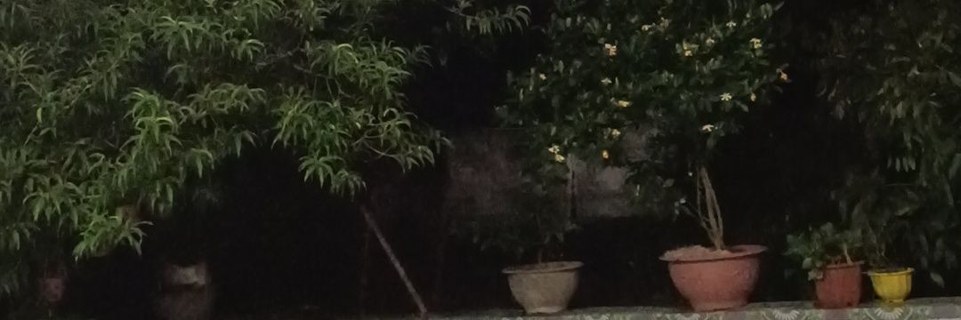 Trytodieee's profile banner image