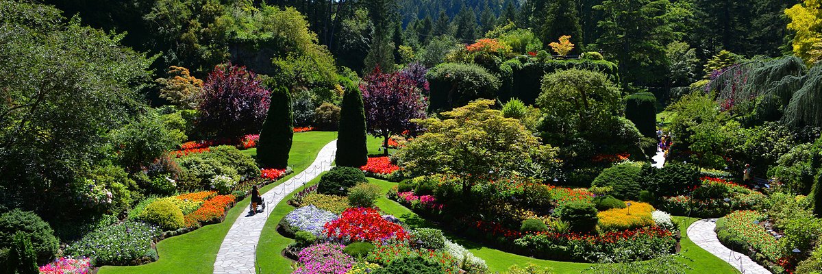 ButchartSales's profile banner image