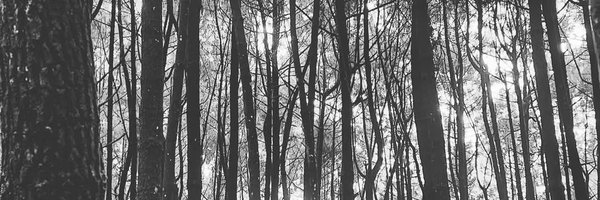 thisisebo Profile Banner