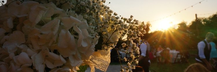 clairekamp's profile banner image