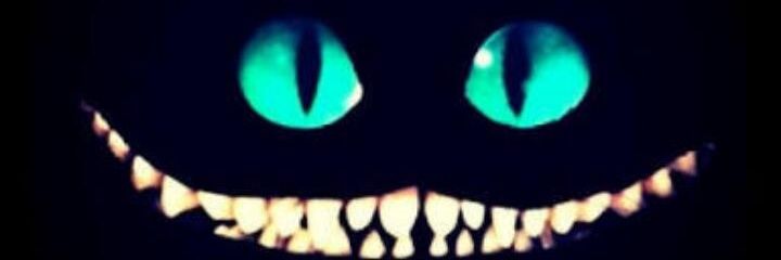 Porra_Carool's profile banner image