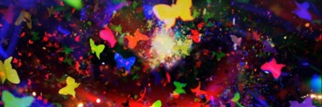 TamarCha's profile banner image