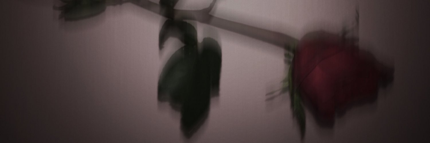 CastaLasta's profile banner image