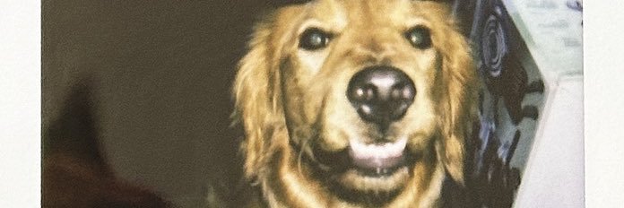 mariferjp's profile banner image