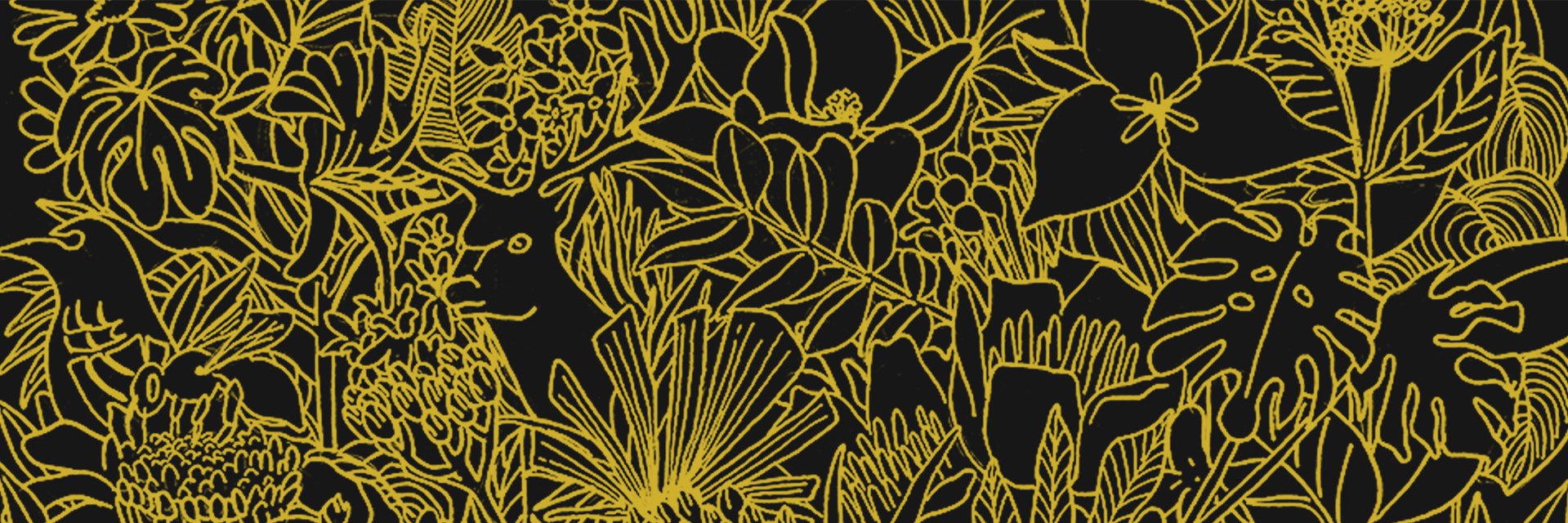 Jack Willow Jr. banner