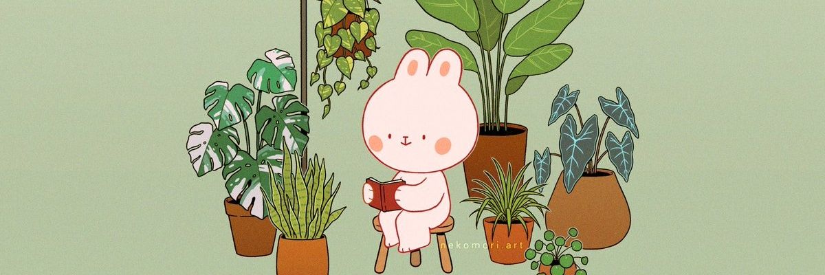 Lalykookie's profile banner image