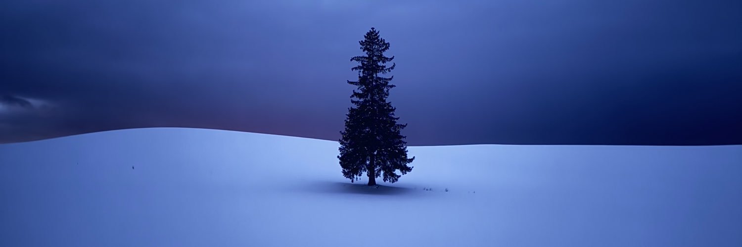 hya_lee's profile banner image