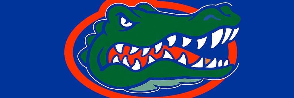 FnA_FLGators's profile banner image