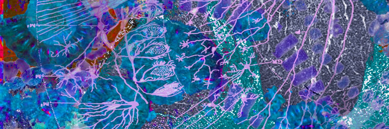 leahginnivan's profile banner image