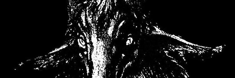 EstebanSerrano6's profile banner image