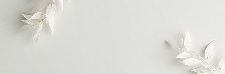 RomiPriore's profile banner image