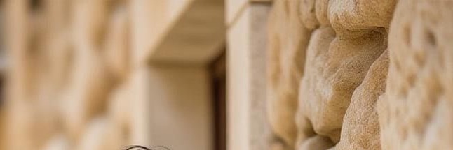 HATANMSi's profile banner image