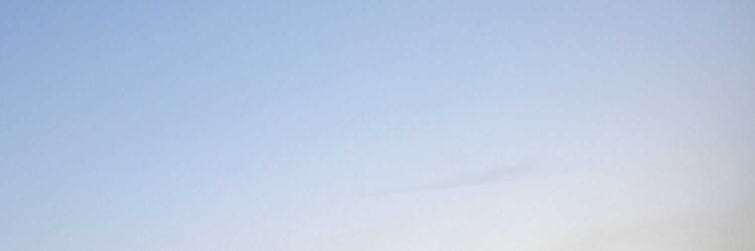 •cicada• banner