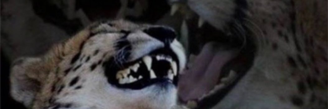 HotterthanTNT's profile banner image