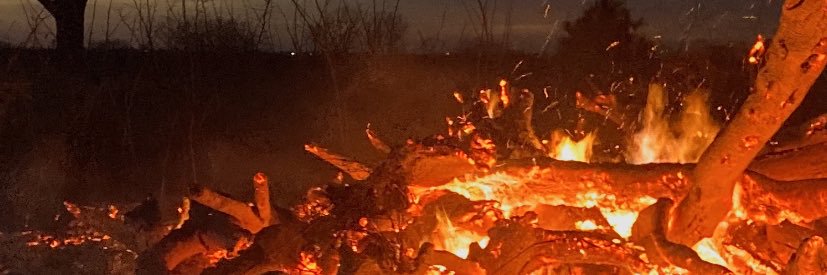 D28reed's profile banner image