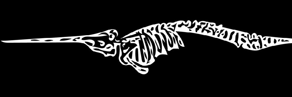 TimPackett's profile banner image