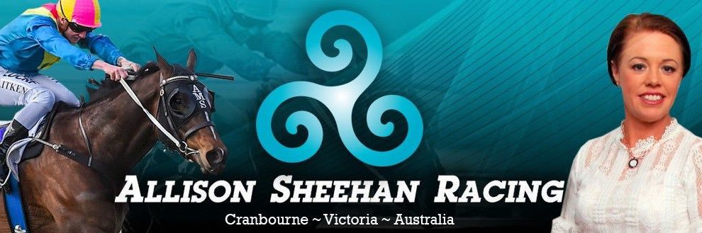 Allison Sheehan banner