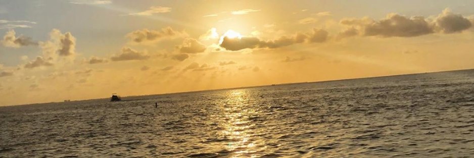ShanelleGayle's profile banner image