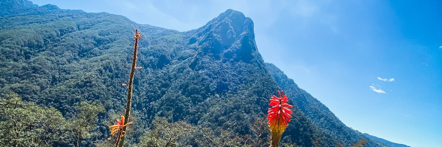 mt_burbano's profile banner image
