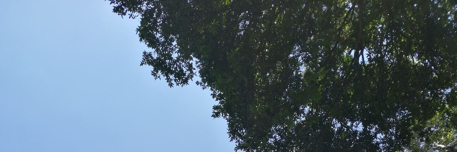 amerijoux_'s profile banner image
