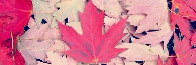 KangooClubCda's profile banner image