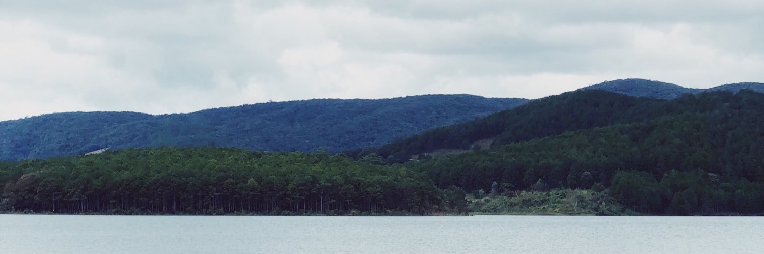 sindomis's profile banner image