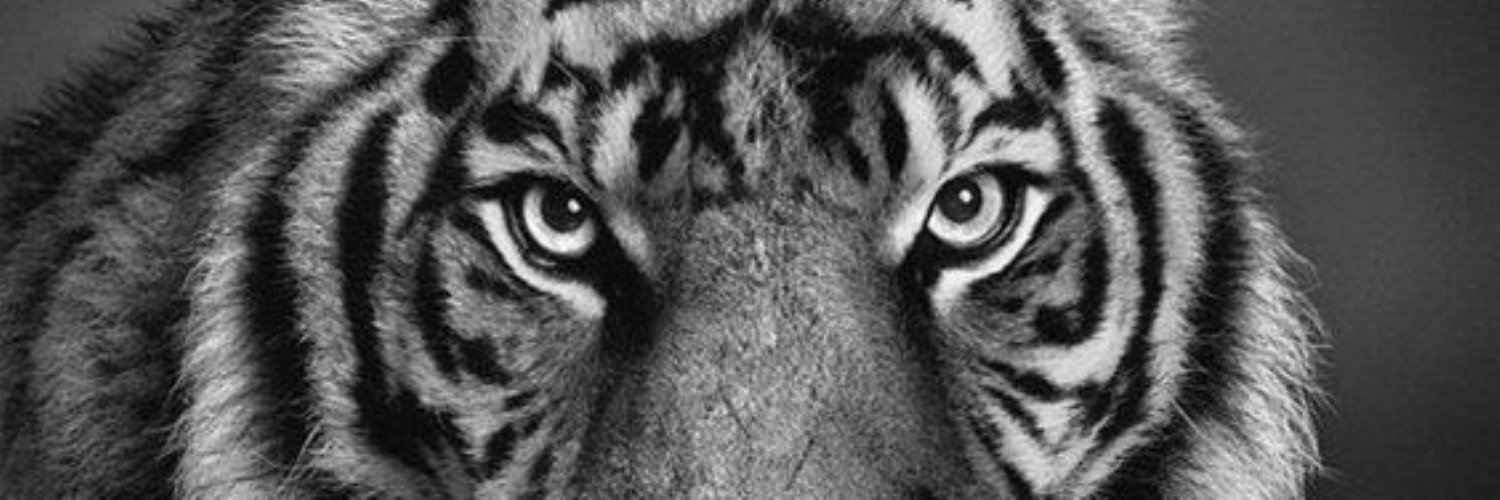 Felx_v's profile banner image