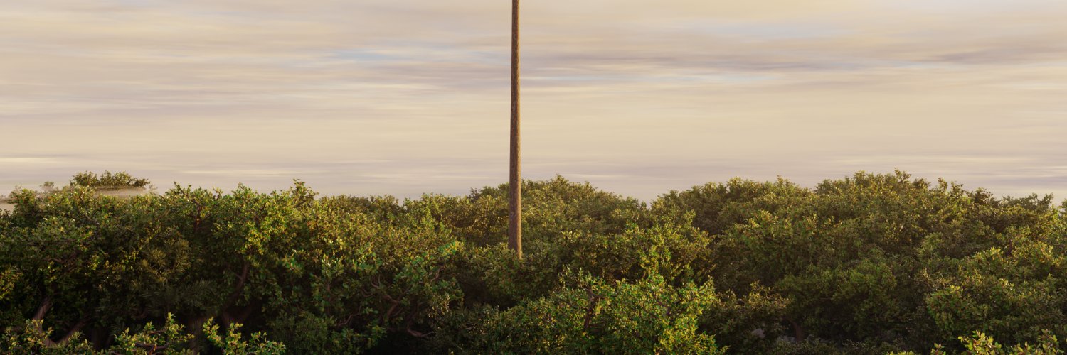 Leosdel Suarez banner