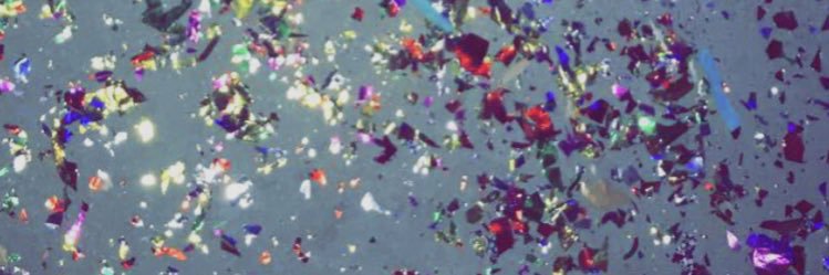 laaoxo's profile banner image