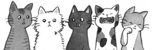 OlenkaBonelli's profile banner image